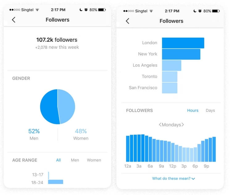 Dashboard which shows Instagram Growth over time.