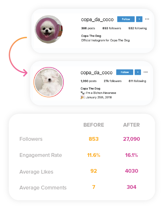 Customer testimonial showing Instagram Growth for dog page.