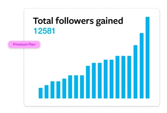 Bar graph that shows Instagram Growth
